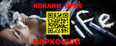 шишки Бийск