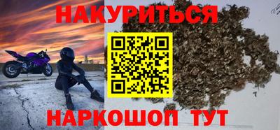 шишки Бийск