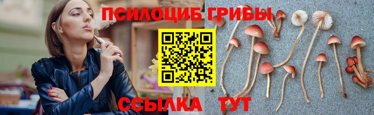 Галлюциногенные грибы мицелий Зима