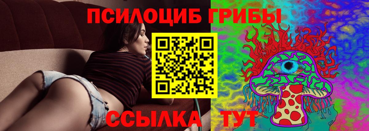как найти   Галлюциногенные грибы мухоморы  Вход с VPN  Зима  Псилоцибиновые грибы Magic Shrooms 